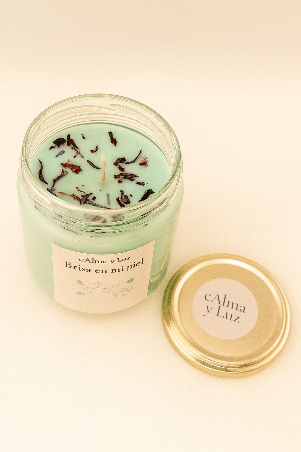 Brisa en mi piel – Vela aromática artesanal (230g)